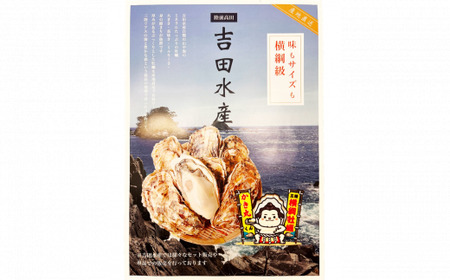 【ぷりぷり濃厚】 訳あり むき身牡蠣 500g 冷蔵 牡蠣