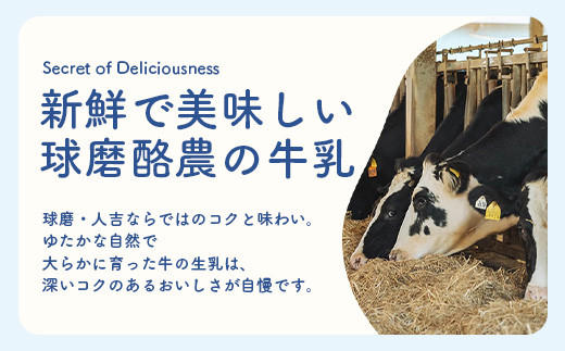 【 定期便 3回 】球磨の恵 のむ ヨーグルト (加糖) 150g×25本× 3回配送