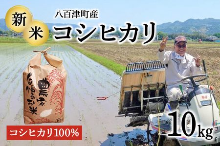 【令和7年産米】地元でも美味しいと評判！八百津町小川さんのコシヒカリ10Kg【すぐ発送】