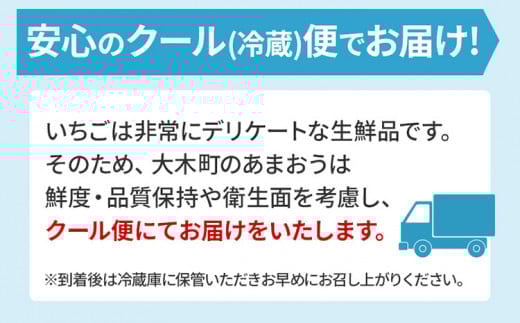ジャム用あまおう2kg ※2025年2月中旬～5月10日頃にかけて順次出荷予定 BD07