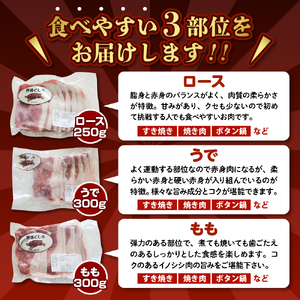 「野呂くじら」いのしし肉 3パックセット（計850g）