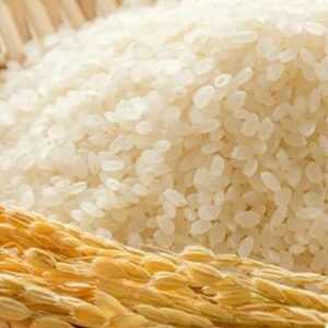 ふっくら柔らか!宮城県南三陸サーモン、塩銀鮭・小分けタイプ3切れ×5袋＆ひとめぼれ米2合のセット【配送不可地域：離島】【1631949】