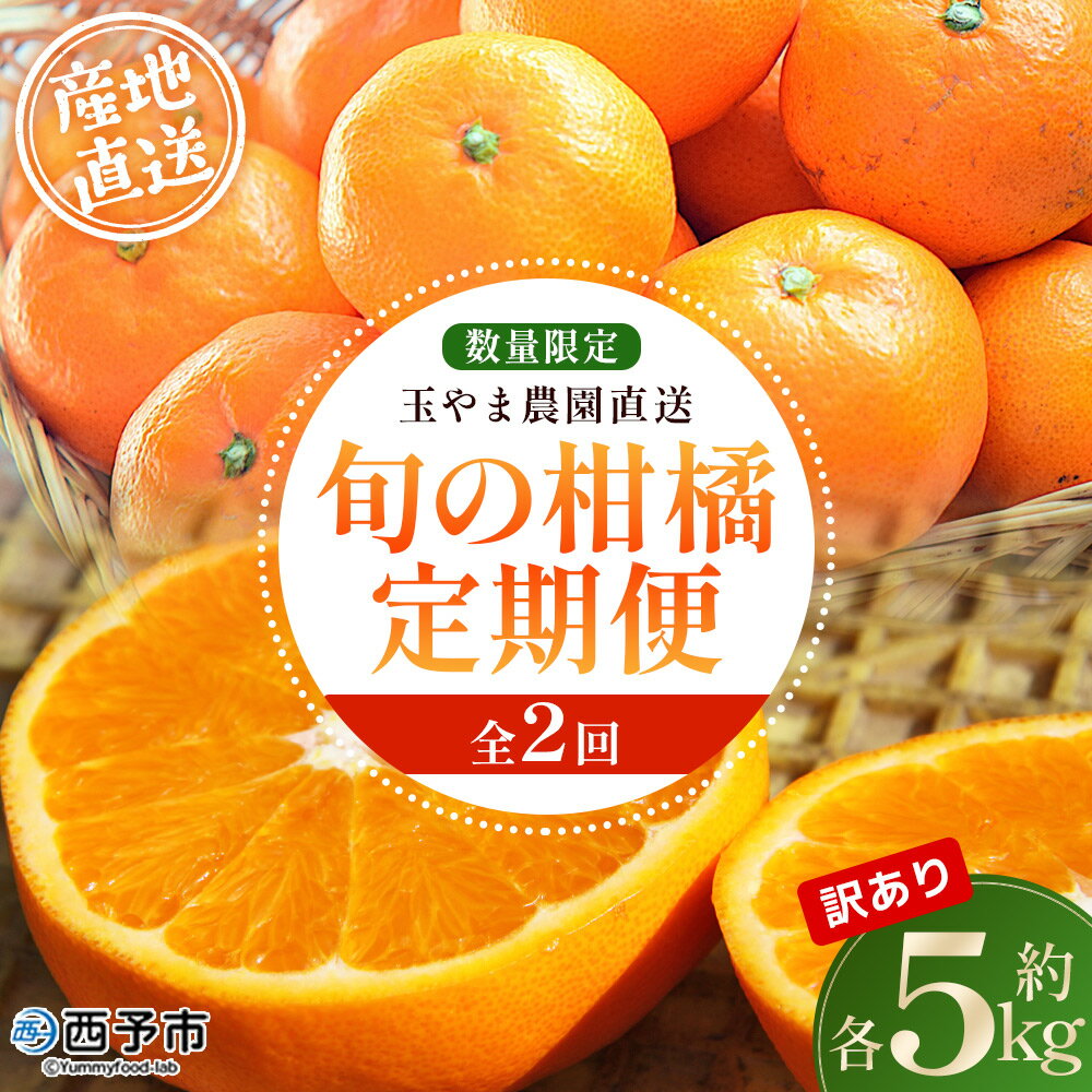 【ふるさと納税】＜訳あり 旬の柑橘定期便 2回（温州みかん 約5kg・せとか 約5kg）＞ 数量限定 産地直送 自宅用 家庭用 みかん ミカン 蜜柑 柑橘 フルーツ 果物 果実 特産品 旬 玉やま農園 愛媛県 西予市【常温】『1回目：2025年12月／2回目：2026年3月に順次出荷予定』