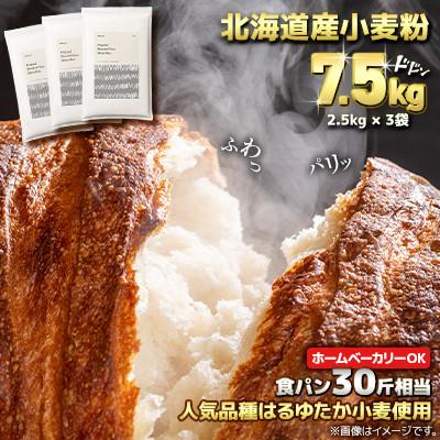 ふるさと納税 室蘭市 北海道産 はるゆたかブレンド小麦粉 シルバーライズ(パン用強力粉)7.5kg