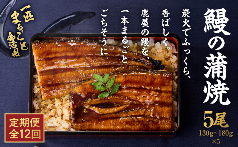 【全12回定期便】鰻の蒲焼 5尾（130g〜180g×5）　KN026-T09【株式会社オキス】