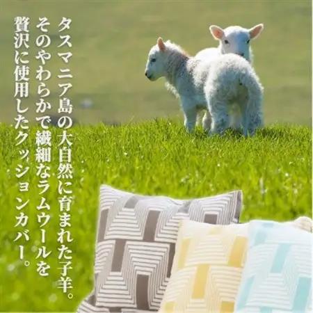 【2枚組】洗えるタスマニアラムウール混クッションカバー 45×45cm BR OTW-4545-2P【1555590】