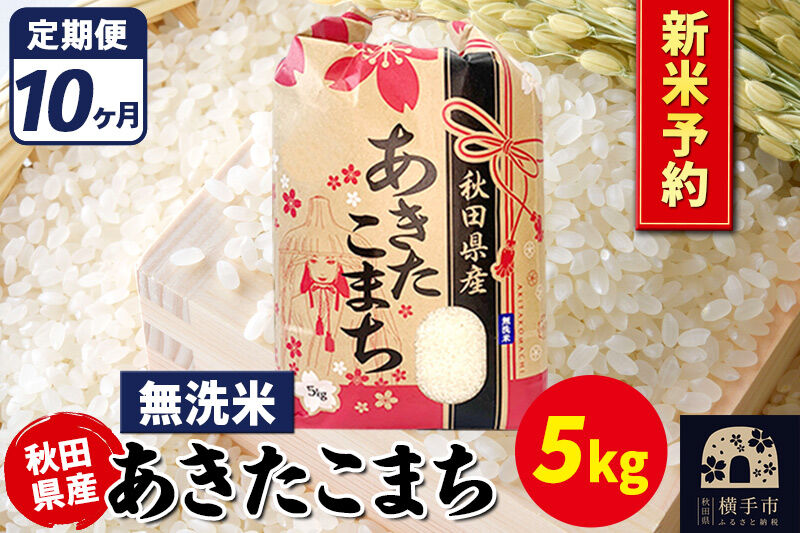 《令和8年産 新米受付》《定期便10ヶ月》あきたこまち 5kg【無洗米】秋田県産 こまちライン [新米 先行予約 こまちライン あきたこまち ブランド米 お米 白米 精米 無洗米 米どころ 秋田 秋田
