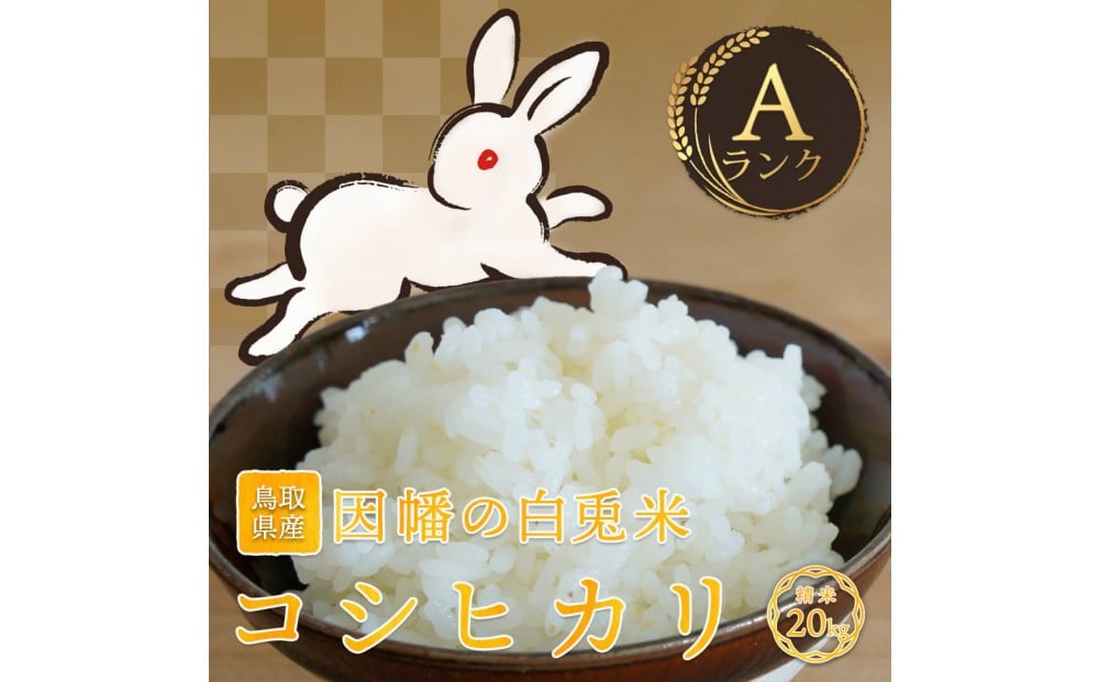 
                  【令和7年度産】因幡の白兎米 コシヒカリ 精米済 20kg ( 5kg×4袋 )
                