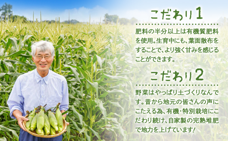 【北海道恵庭市産】朝どりスイートコーン×20本 北海道産 とうもろこし ふるさと納税 北海道 恵庭市【31000103】 ２０本