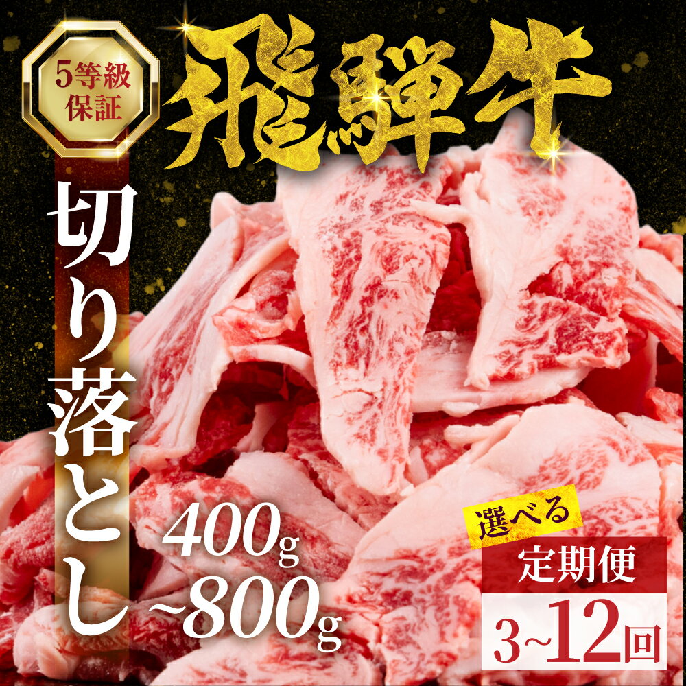 【ふるさと納税】飛騨牛 切り落とし 400g~800g ≪定期便が選べる≫ 定期便 3回 6回 12回 赤身飛騨牛 スライス肉 バラ 家庭用 自宅用 スライス 牛 お肉 肉 黒毛和牛 国産 国産牛 牛肉 ブランド牛 ブランド和牛 すき焼き 訳あり 小分け 焼き肉 約 1kg 岐阜県 郡上市 焼肉