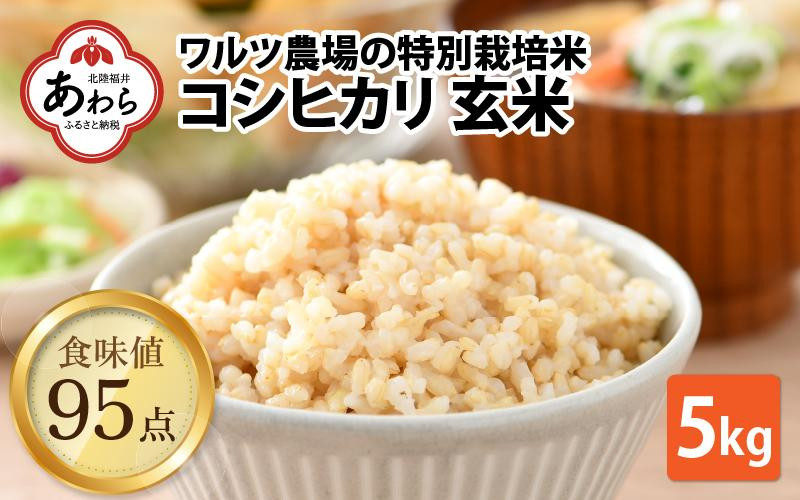 
            【先行予約】【令和7年産 新米】ワルツ農場のコシヒカリ 玄米 5kg 特別栽培米【驚きの食味値95点！納得の美味しさ】減農薬 有機肥料使用 / お米 ご飯 つや 艶 甘味 旨み あわら市 米の王様 こしひかり ブランド米 北陸 あわら市産 福井県産 ※2025年9月下旬より順次発送
          