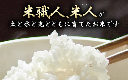 令和7年産 コシヒカリ 5kg【精米】 [m25-a006_01]
