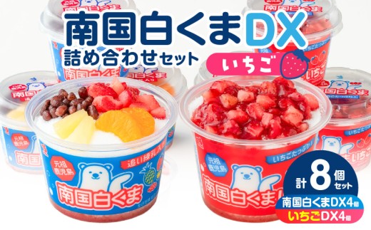 【 数量限定 】セイカ食品 南国白くまDX・南国白くまDX（いちご味）詰め合わせセット　K051-002_01