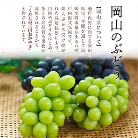 【先行受付】岡山県産　シャインマスカット『晴王』4房(1房480g以上・合計約2kg)　【配送不可地域：離島・北海道・沖縄県】【1360475】