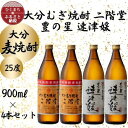 【ふるさと納税】大分むぎ焼酎　二階堂2本と速津媛2本25度(900ml)4本セット【1456977】