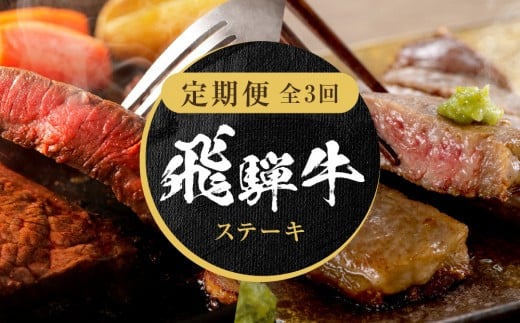 【定期便】全3回 飛騨牛 ステーキ | 肉 牛肉 お肉 ステーキ 黒毛和牛 和牛 お取り寄せ 飛騨高山ミート MZ107