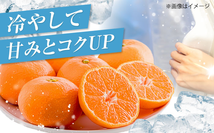 ハウスみかん 2kg 【7月下旬から9月下旬まで順次発送】 / フルーツ 果物 蜜柑 ミカン オレンジ 小玉 甘い 先行予約 2kg 愛媛 / 愛媛県砥部町/株式会社フジ・アグリフーズ [BJBI00