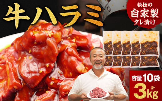 たれ漬け牛ハラミ3kg （3000g） 〈焼肉工房もく〉 牛肉 焼肉用 焼くだけ はらみ 小分け BBQ やきにく 肉厚 人気 高評価 訳あり サイズ不揃い 家計応援 数量限定 牛肉 はらみ ワケアリ 焼肉 焼き 肉 ワケアリ やわらか バーベキュー BBQ ご米のお供  奈良県 奈良市 なら 30-055