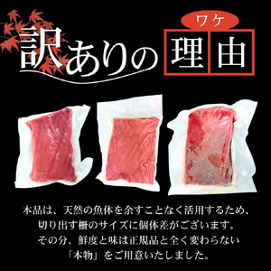 【スピード発送】 訳あり 天然本まぐろ 大トロ200g以上 まぐろ