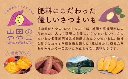 干し芋 山田のややこ おいものこ 干し芋セット 900g  《30日以内に出荷予定(土日祝除く)》ゆうゆう農園 干し芋 さつま芋 紅はるか 干し芋【配送不可地域あり】（沖縄・離島）