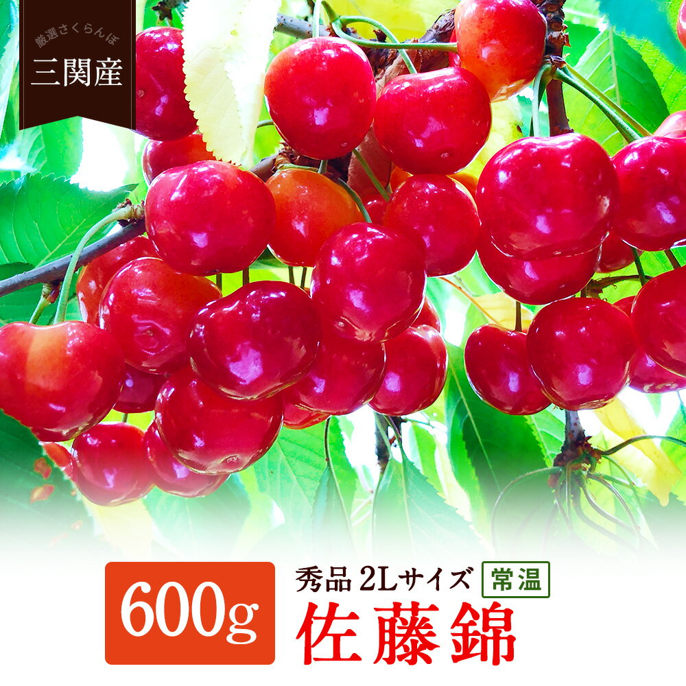 【ふるさと納税】＼朝採れ 産地直送／ R7年度産 佐藤錦 秀 2L 600g 市場価値の高い 三関産 さくらんぼ こだわりの【常温】でお届け 訳あり 送料無料 フルーツ 果物 お取り寄せ 秋田 湯沢市 期間限定 サクランボ 数量限定 [B67-7801]