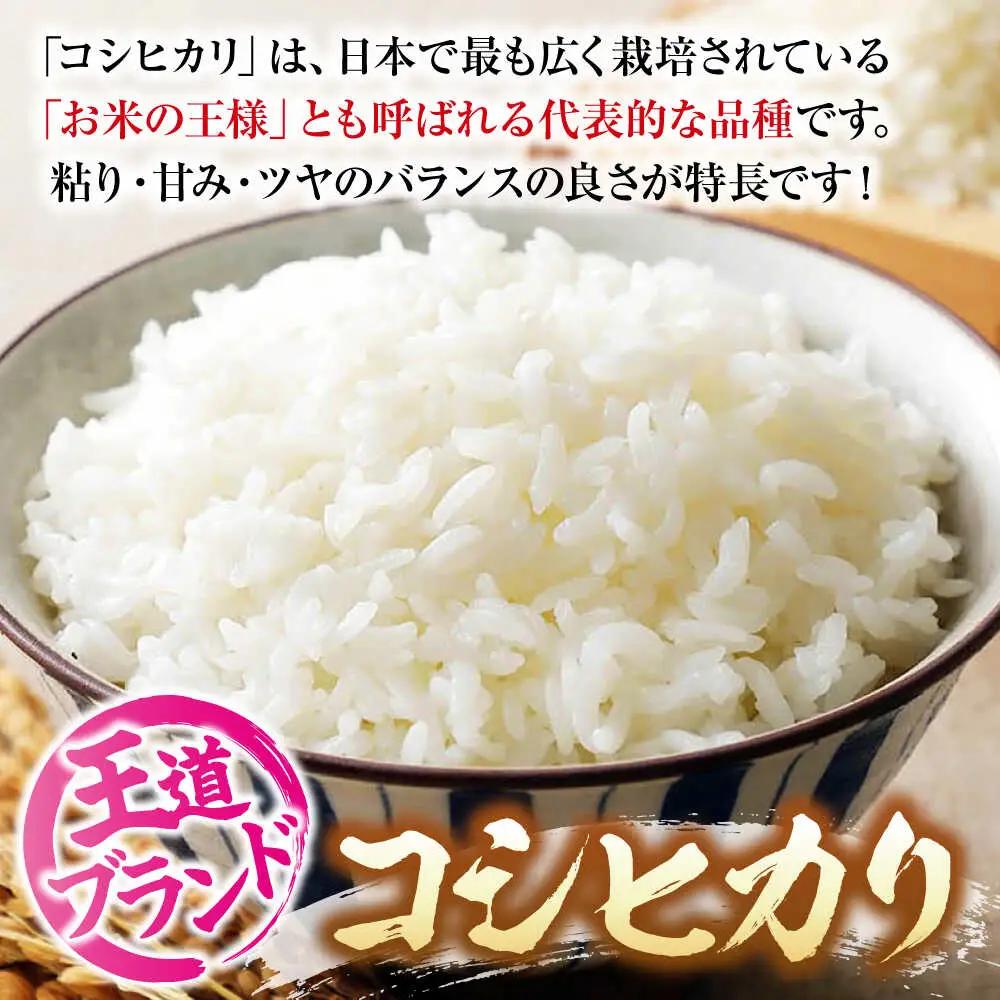 こしひかり あきろまん 10kg [APBM013]コシヒカリ セット