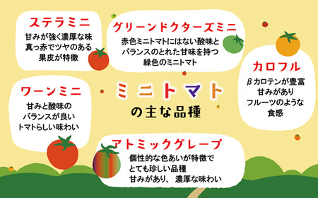 ＜丘の風ファーム ミニトマトミックス2個セット＞