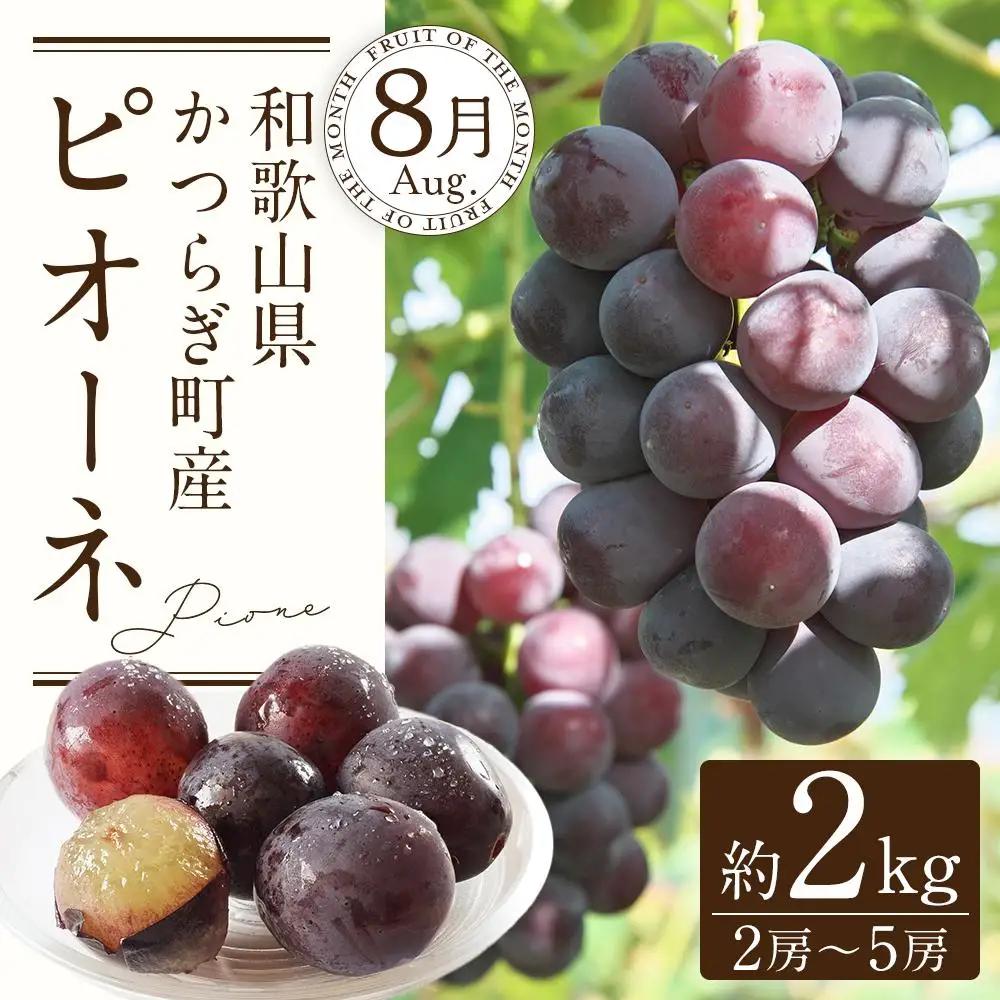 定期便全3回 和歌山の人気の夏のフルーツをお届け！ ［TM204］