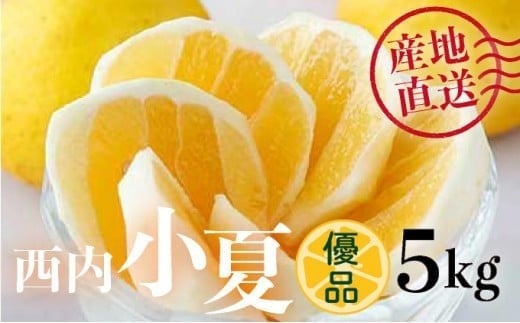 【先行予約】＜優品＞西内小夏 5kg　N54