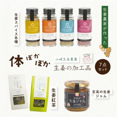 ふるさと納税 四万十市 【山崎生姜農園】生姜農家が作った体ぽかぽか生姜の加工品7点セット