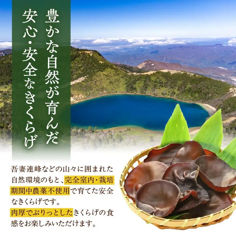 期間限定 生きくらげ 200g×6パック 計1.2kg キクラゲ
