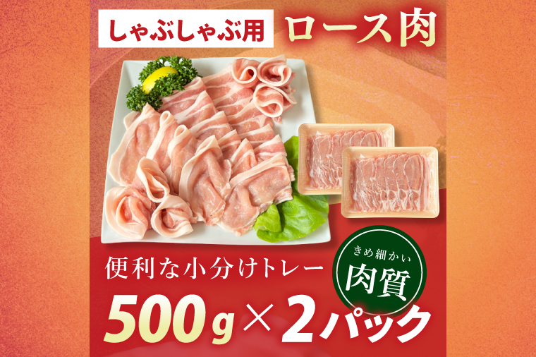 常陸の輝き　ロースしゃぶしゃぶ　(1kg)【豚肉 ブランド豚 薄切り 銘柄豚  茨城県 水戸市】（NW-14）