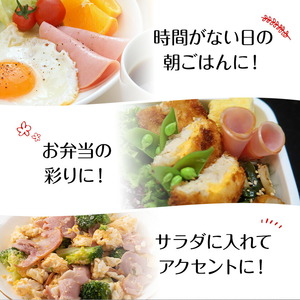 ハム 切り落とし 2.4kg 有限会社ハム工房TONGTONG《90日以内に出荷予定(土日祝除く)》熊本県 菊池市 小分け ハム ロースハム ボンレスハム おかず おつまみ