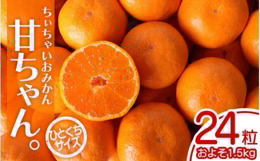 【2026年先行予約】ちぃちゃいおみかん『甘ちゃん。』【小玉みかん】24個入 約1.5kg ※2026年12月上旬～下旬頃に順次発送予定【期間限定・2026/11/30まで】 / みかん ミカン 柑橘 温州みかん 早生温州ミカン 和歌山県 小玉 小粒【ngm013】