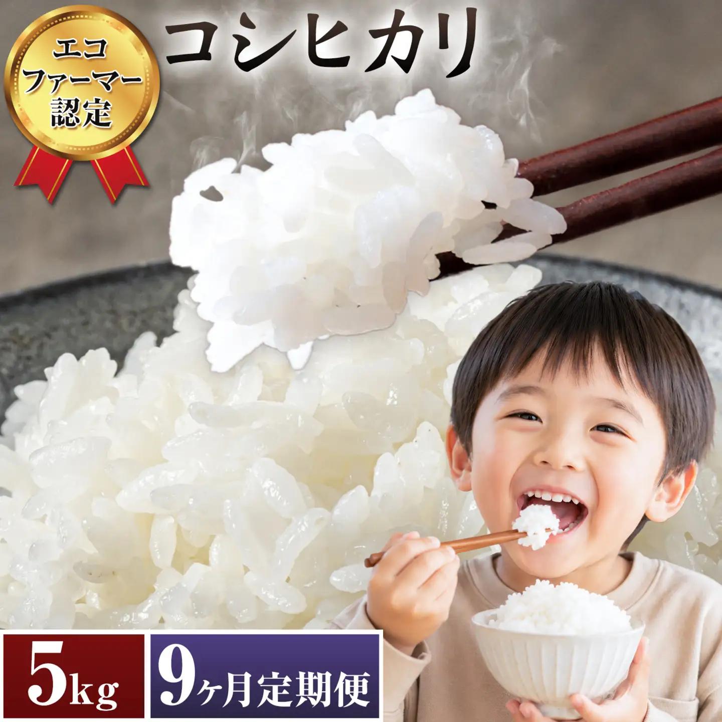米 コシヒカリ 白米 5kg 9ヶ月 定期便 新宿営農組合 米