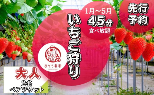 【先行予約】いちご狩り 45分 いちご 食べ放題 体験 大人(13歳～64歳) 2名チケット イチゴ 苺 体験 宮城県 東松島市 オンラインワンストップ 申請 対応 自治体マイページ