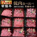 【ふるさと納税】【常陸牛希少部位】焼肉食べ比べ8種セット合計1.6kg【サーロイン ミスジ ササバラ トモサンカク シンシン トウガラシ サンカクバラ イチボ カイノミ お肉 焼肉 食べ比べ やきにく 希少 冷凍】