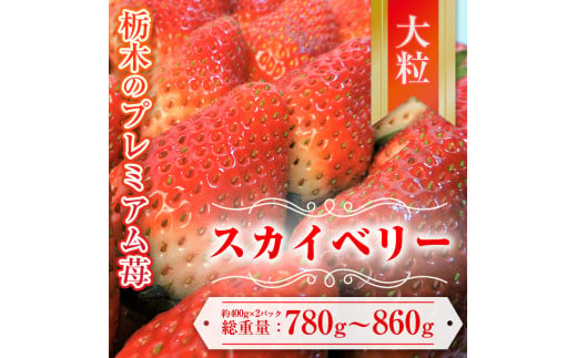 【先行予約】スカイベリー 約390g～430g×2パック | いちご 栃木 スカイベリー 甘い 糖度 旬 新鮮 フルーツ 果物 アレンジ スイーツ いちごジャム フルーツサンド　※離島への配送不可　※2025年1月中旬～3月下旬頃に順次発送予定