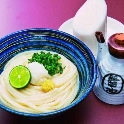 ふるさと納税 東かがわ市 打ち立て!讃岐本生うどん「純生」6人前(だし・ネギ・生姜付) |  | 03