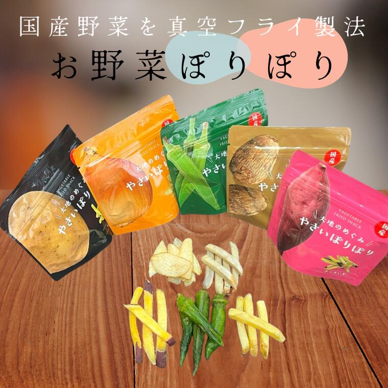 【ふるさと納税】国産野菜を使った野菜のお菓子 詰合せ やさいぽりぽりセット 5種　箱入り 真空フライ製法 食べ比べ お菓子 チップ こども おやつ
