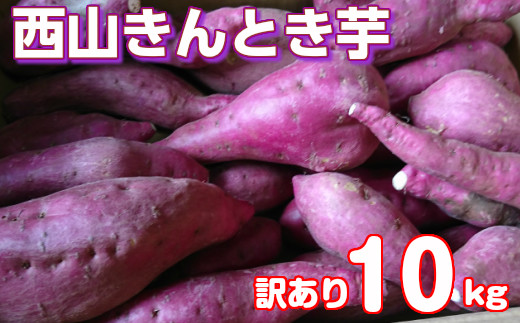 
【ふるさと納税】【令和７年３月お届け】【訳あり】西山きんとき芋 10kg さつまいも サツマイモ さつま芋 焼き芋 やきいも ヤキイモ 野菜 大小混合 傷 送料無料 故郷納税 9000円 ta005
