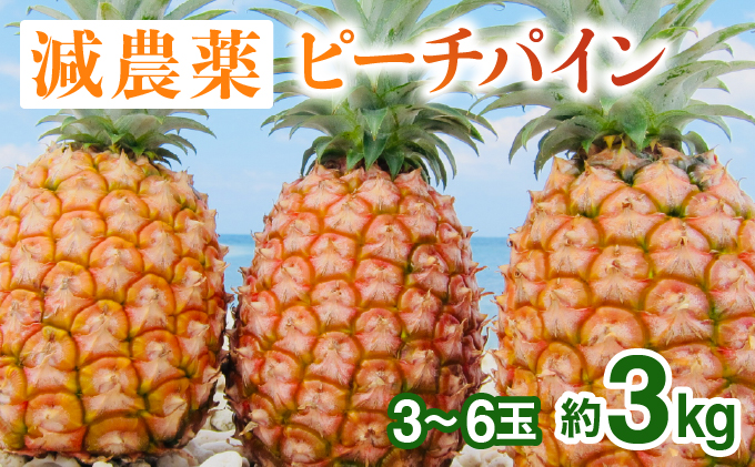 2025年 先行予約 栽培期間中 減農薬 ピーチパイン 約3kg 3～6玉 西表島アナナス農園 完熟 パイン 果物 フルーツ