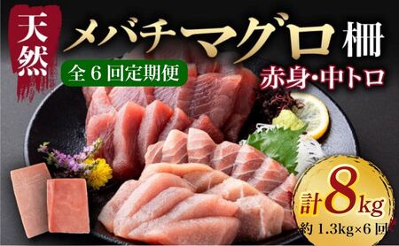 【 6回定期便 】 天然メバチマグロ 中トロ 赤身 約1.3kg【マグロマグロマグロマグロ】