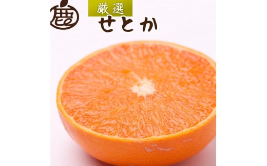 ［先行予約］厳選 せとか1kg+250g（傷み補償分）［柑橘・春みかんの王様］［光センサー選果・食べ頃出荷］［IKE60］