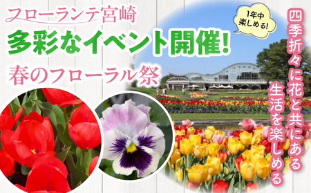 宮崎市フェニックス自然動物園＆フローランテ宮崎共通入園券（大人5枚組） 動物 動物園 自然 花 祭 祭典 イルミネーション フラワーガーデン イベント チケット 引換券 入園券 レストラン お土産 グ
