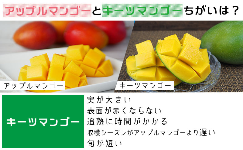 【2025年発送先行予約】キーツマンゴー秀品2kg以上 沖縄 おきなわ まんごー 秀品 贈答用 先行予約 ふるさと納税 送料無料 甘味 糖度 おいしい お土産 キーツ 果物 くだもの 果実 2キロ 箱