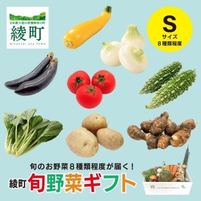 ふるさと納税 綾町 【毎月定期便】綾町旬野菜ギフト Sサイズ全3回
