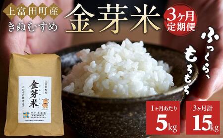 【 定期便 】令和7年産  上富田町産 金芽米 きぬむすめ 5kg × 3か月 井戸本農園