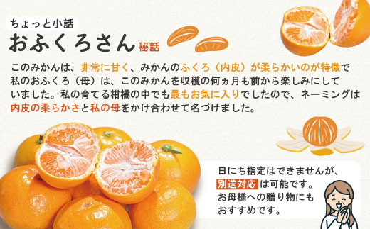【早期受付・数量限定】農家直送!四万十みかん《おふくろさん》3kg 家庭用 予約 早期受付 数量限定 家庭用 旬 温州 温州みかん みかん 蜜柑 ミカン フルーツ 果物 くだもの 四万十市 四万十 し