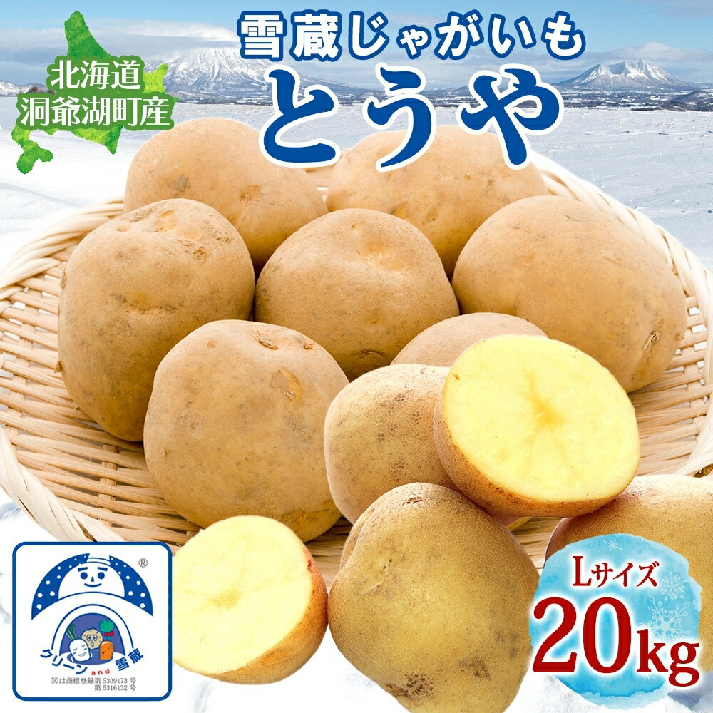 【ふるさと納税】雪蔵じゃがいも 20kg とうやLサイズ 2026年3月上旬～3月末までお届け ジャガイモ 芋 甘い なめらか しっとり ポタージュ カレー 調理 料理 煮込み料理 雪蔵 旬 季節 農作物 野菜 根菜 北海道 洞爺湖町　お届け：2026年3月上旬～3月末まで